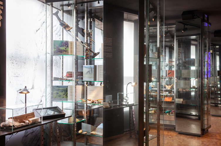 Utställningsmiljön består av stora glasmontrar från golv till tak. I montrarna finns föremål och texter. Mellan montrarna finns bord med interaktiva skärmar och modeller av föremål.