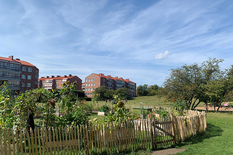 Gröningens odlingsområde.
