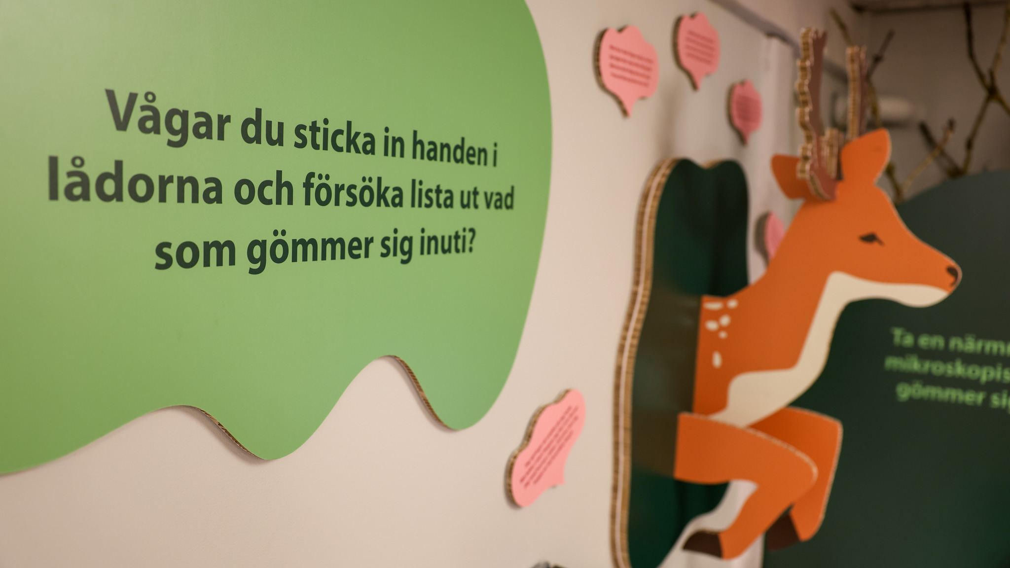 Känsellådor är en del av utställningen på Torups naturcenter