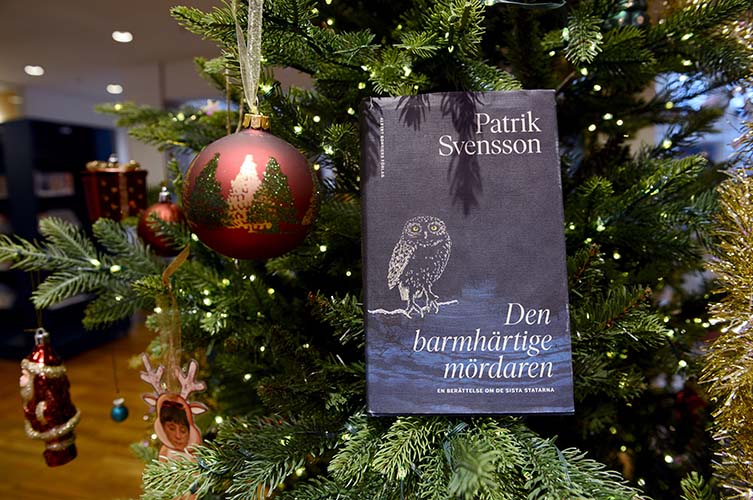 Boken Den barmhärtige mördaren.