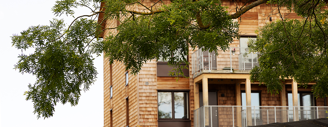 En stor trädgren framför ett hus i trä