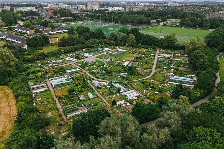 En flygbild som visar hela Almvik odlingsområde från luften.