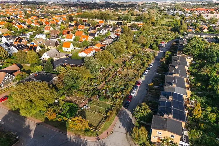 Flygbild som visar hela Biskpgatans odlingsområde från luften. 