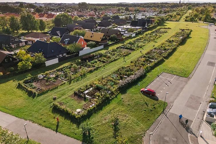 En flygbild som visar hela Djupadals odlingsområde mellan ett villaområde och en skola. 