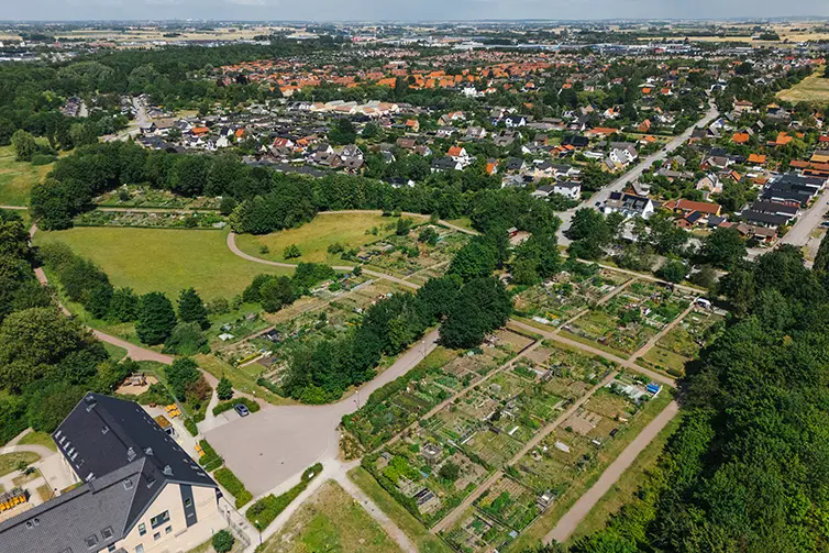 Granbackens odlingsområde. Översiktsbild.