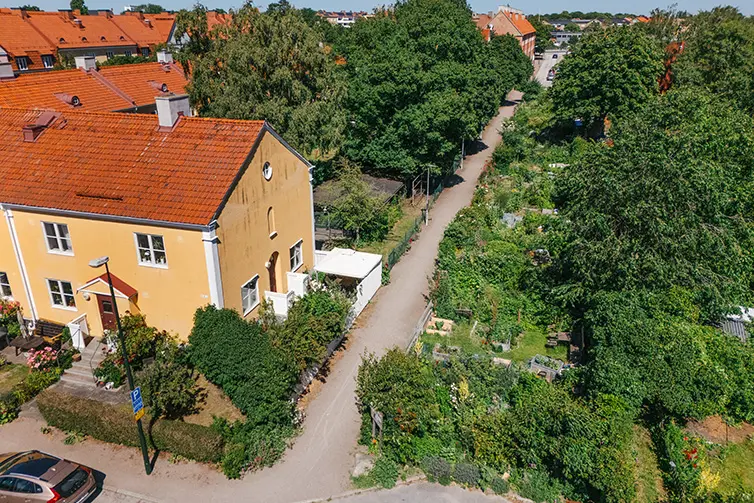 En flygbild som visar alla odlingslotter på Hagtorps odlingsområde.