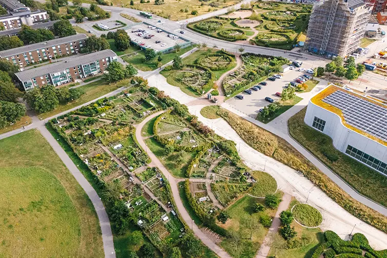 Hyllierankans odlingsområde. Översiktsbild. 