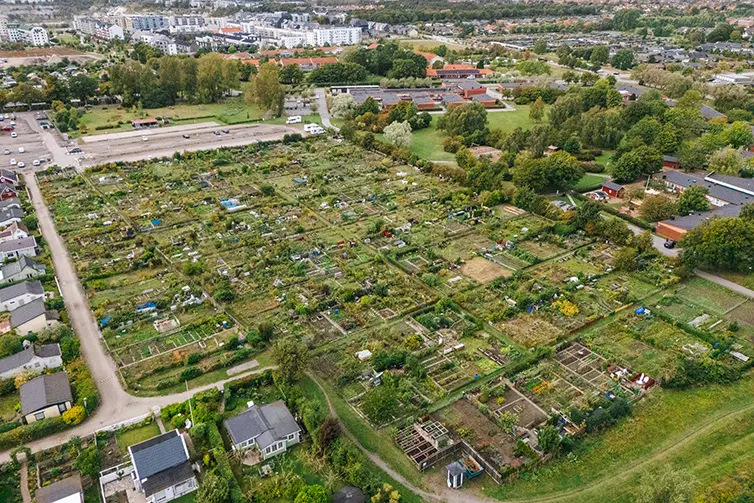 Flygbild som visar hela Mossgårdens odlingsområde. 