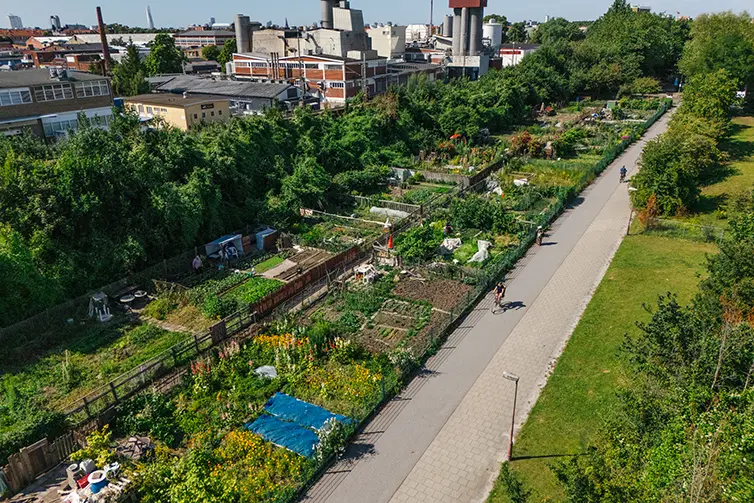 Flygbild över Navets odlingsområde. Bredvid ligger ett tågspår och industriområde. 