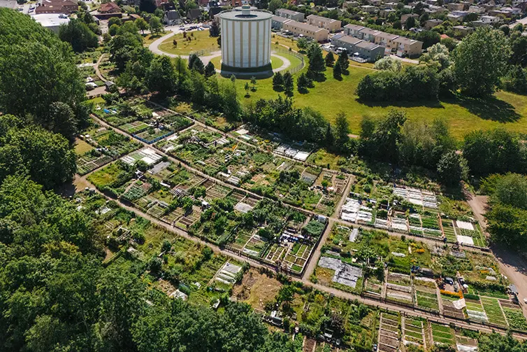 Flybild som visar Rosengårdsfältets odlingsområde från luften.