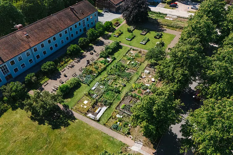 Odlingslådor i Sege Park. I bakgrunden är det flera blåtonade hus. 
