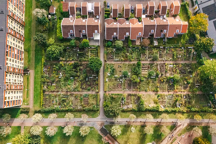 Svansjöns odlingsområde. Översiktsbild.