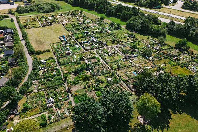 Valdemarsros odlingsområde