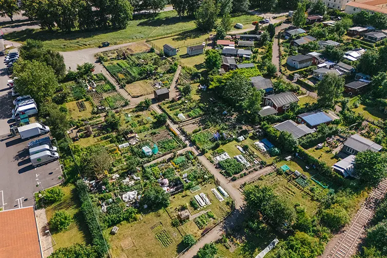 Vattenverksvägens odlingsområde. Översiktsbild.