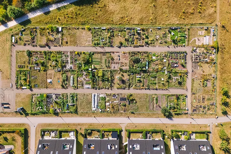 Flygbild som visar Vintrie odlingslotter från luften. 