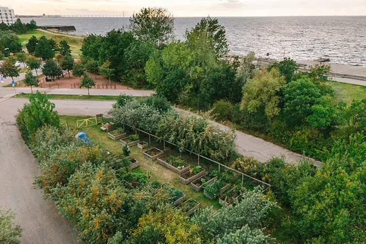 Drönarbild som visar alla Västra hamnens odlingslådor ovanfrån.