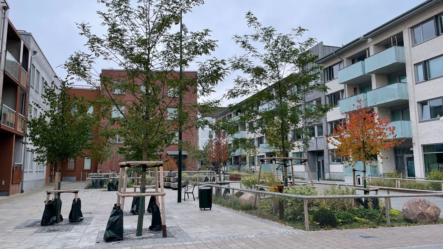 Vy över nyanlagt torg med träd, grönska och sittplatser. Gjuttorget i Limhamns hamnområde.