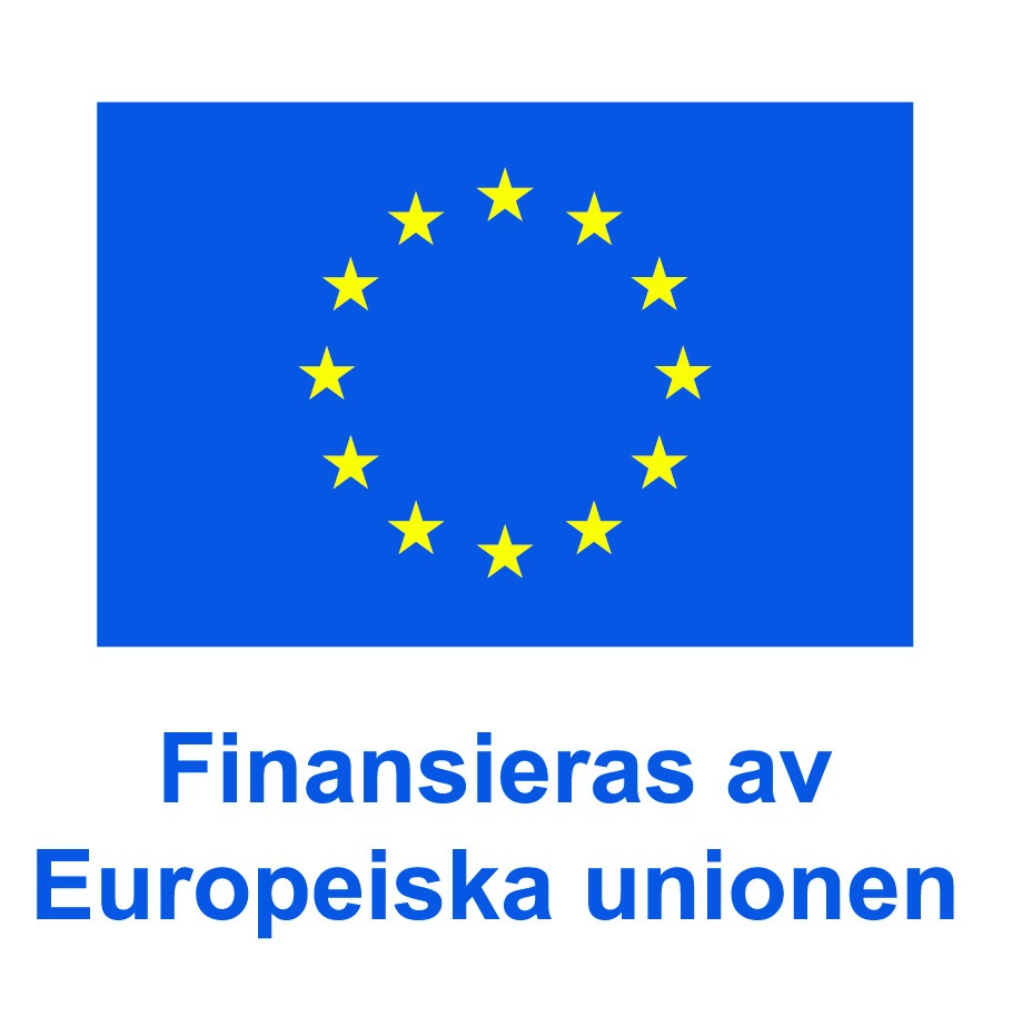 Inkluderade jobbsök finansieras av Europeiska unionen.