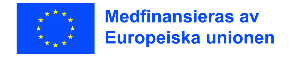 Uppsök Ung Malmö medfinansieras av Europeiska unionen.