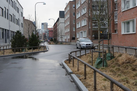 Ett exempel på ”raingarden” i Malmö från Monbijougatan.