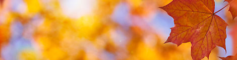 Foto: FutureImageBank