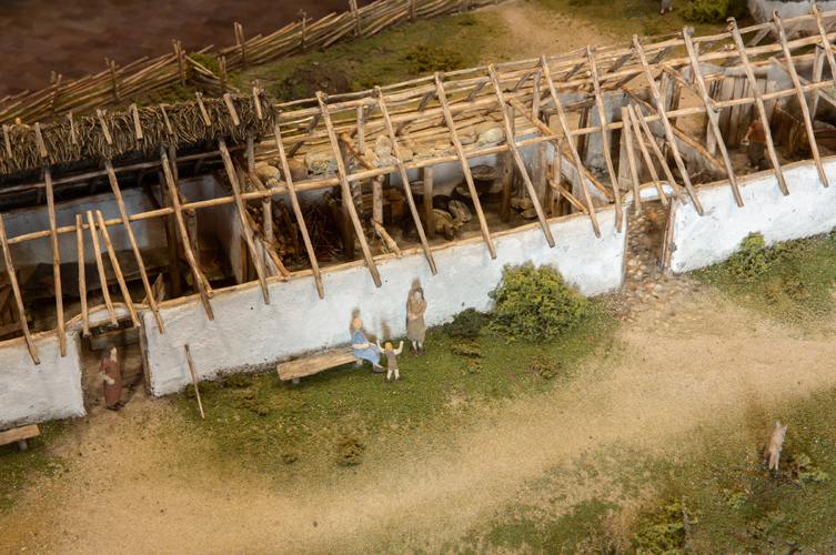 Modellen har byggts utifrån spåren efter husets stolpar och analyser av marken huset byggdes på. 
