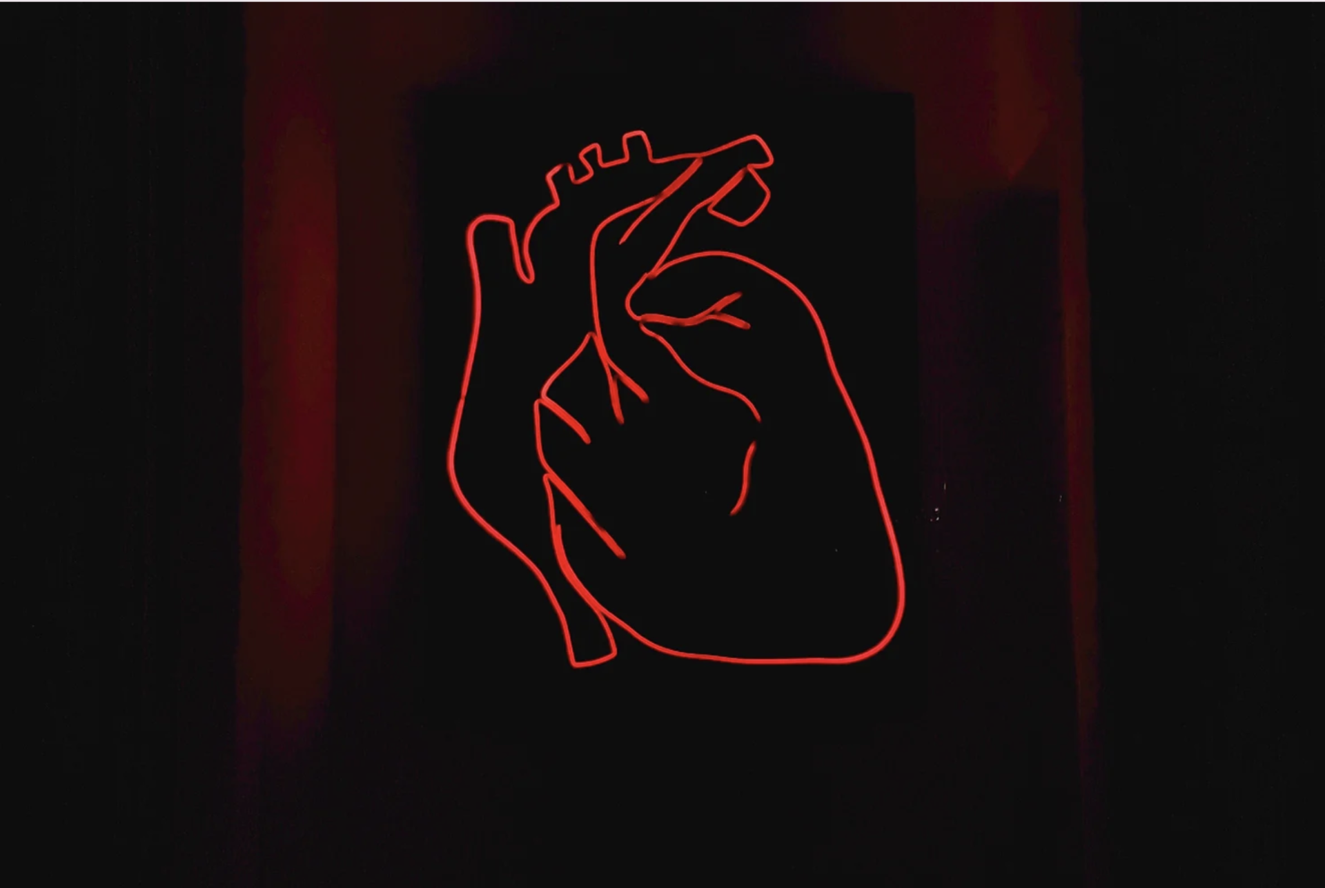 Illustration på ett människohjärta.