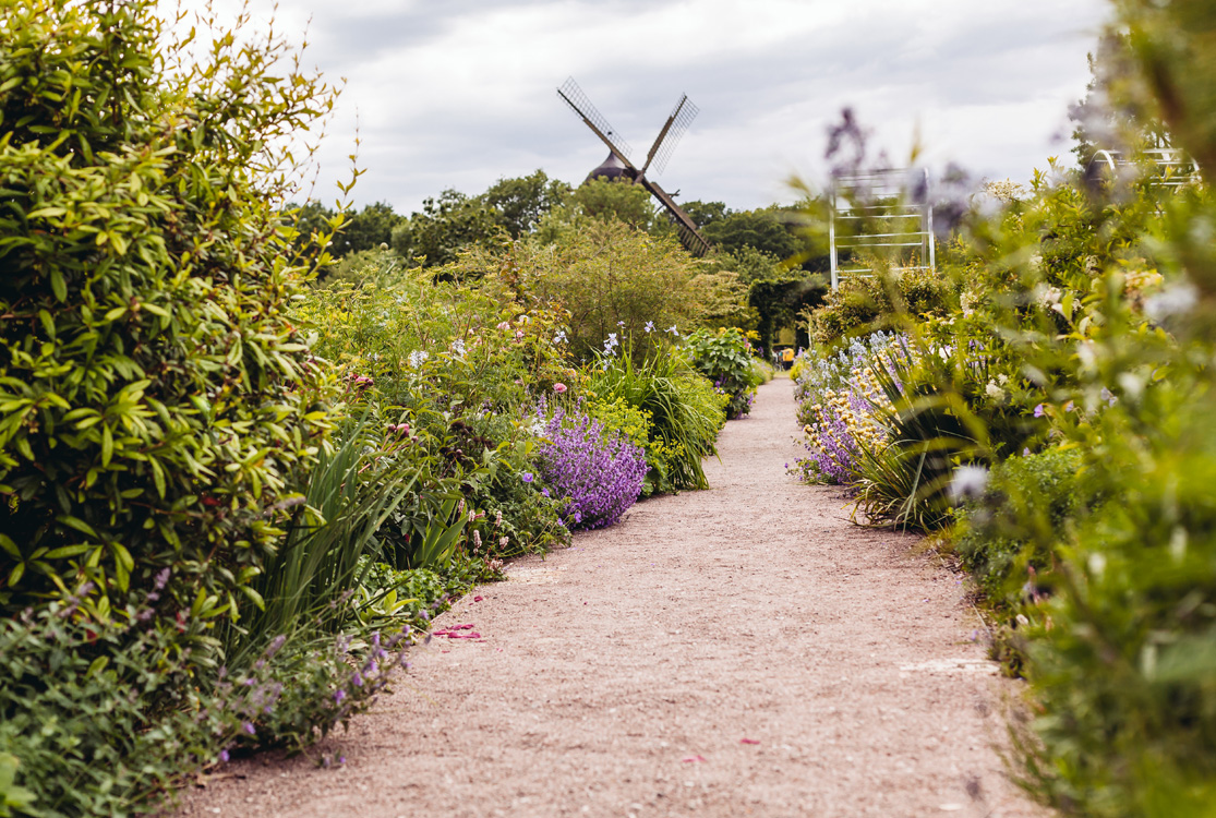 En grusgång i en lummig trädgård med en väderkvarn i bakgrunden.