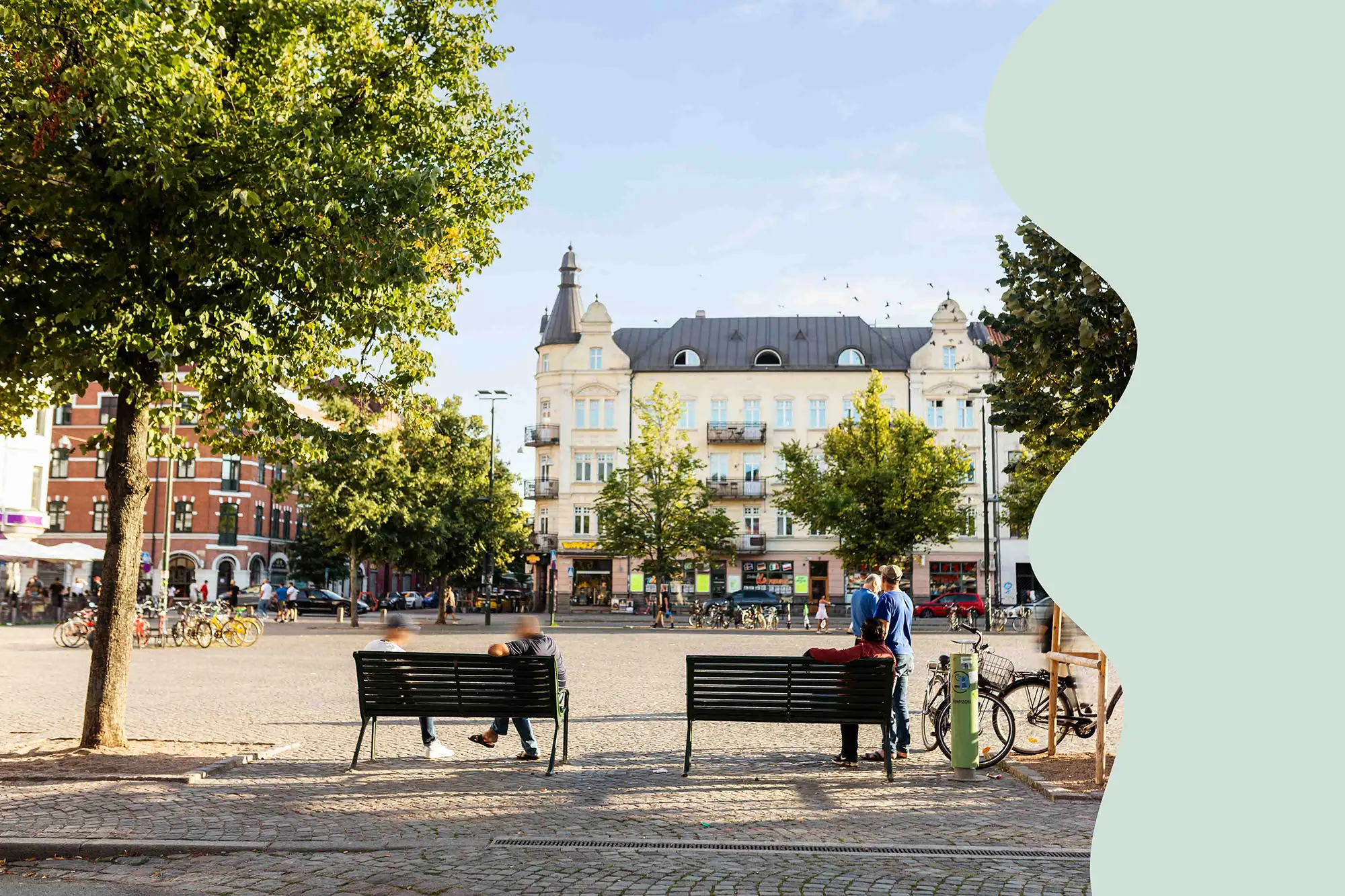 Möllevången är ett område där Malmö stad gjort riktade trädplanteringar.