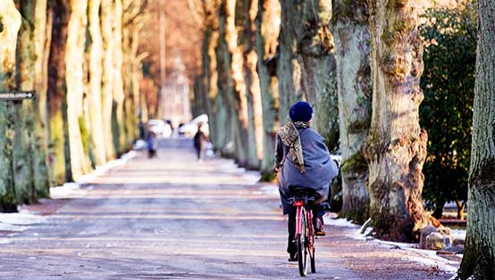 Gång- och cykelstråk genom S:t Pauli mellersta kyrkogård, foto: Sanna Dolck