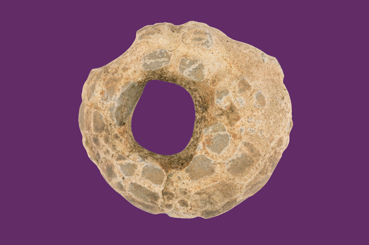 Fossil formad som en ring.