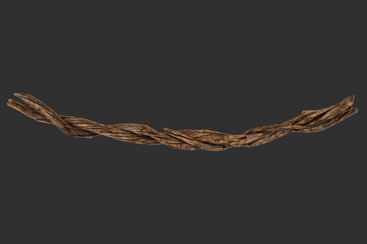 Vikingatida rep som hittades vid Sege å samt rep från Hindby, troligen från järnåldern.