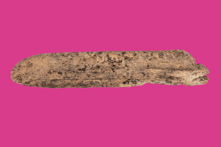 Skulderblad från ett djur.