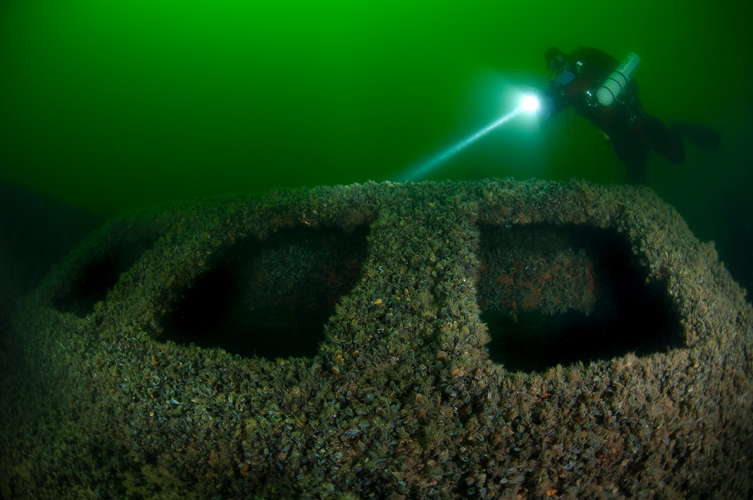 Vraket är täckt av musslor.