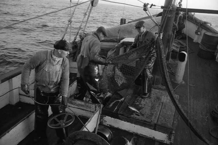Bildspel med äldre svartvita fotografier föreställande sjömän i arbete på fiskebåtar.