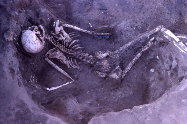 Foto på skelett liggande på jord.
