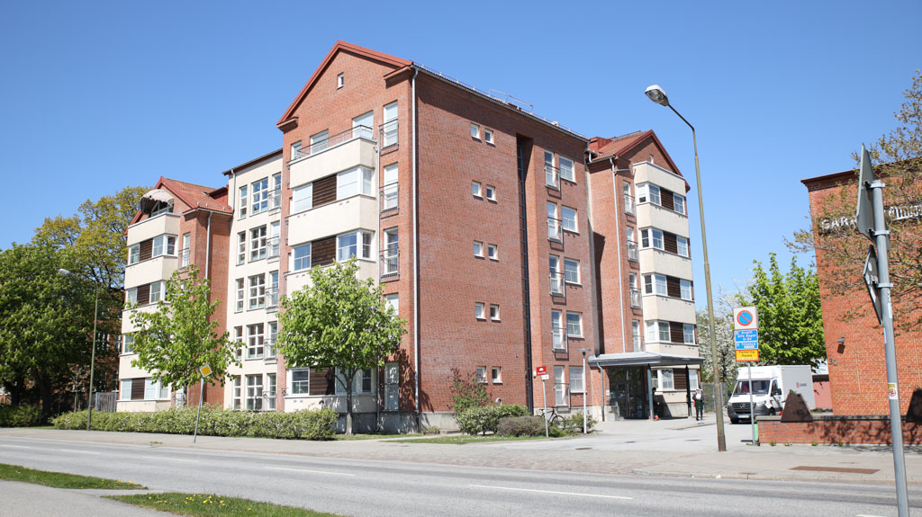 Trots att boendet ligger mot en väg är trädgården förvånansvärt lugn och lummig.