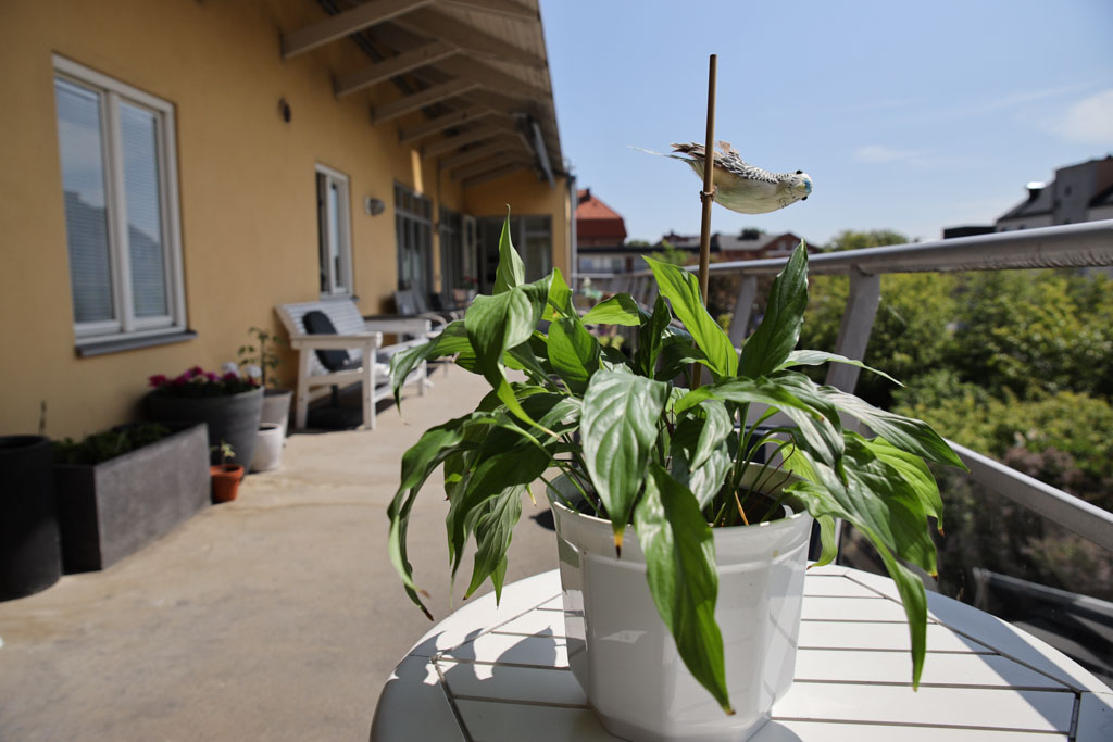 På boendets långa balkonger får många plats och kan titta på utsikten.