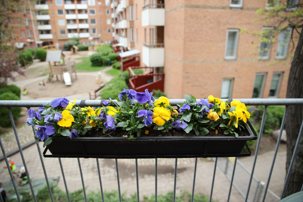 Förutom de färgglada blommorna har man även en utsikt över innergården och lekplats nedanför.