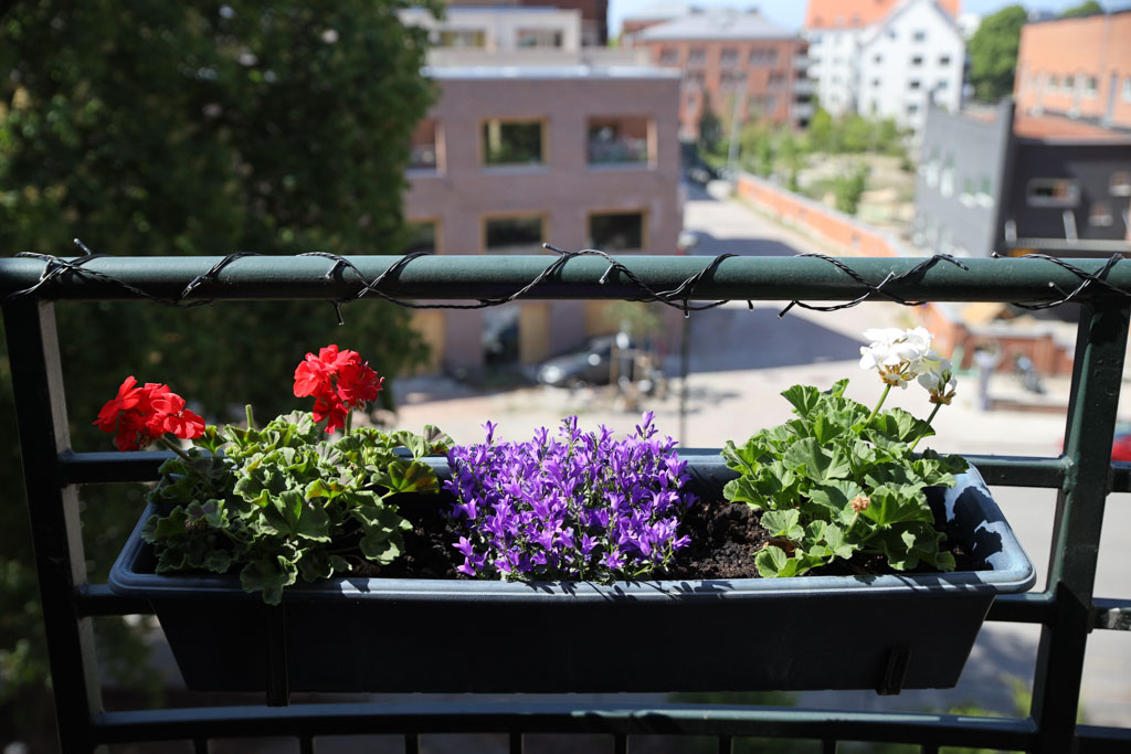 Nyplanterade blommor och en ljusslinga ger myskänsla på balkongen.