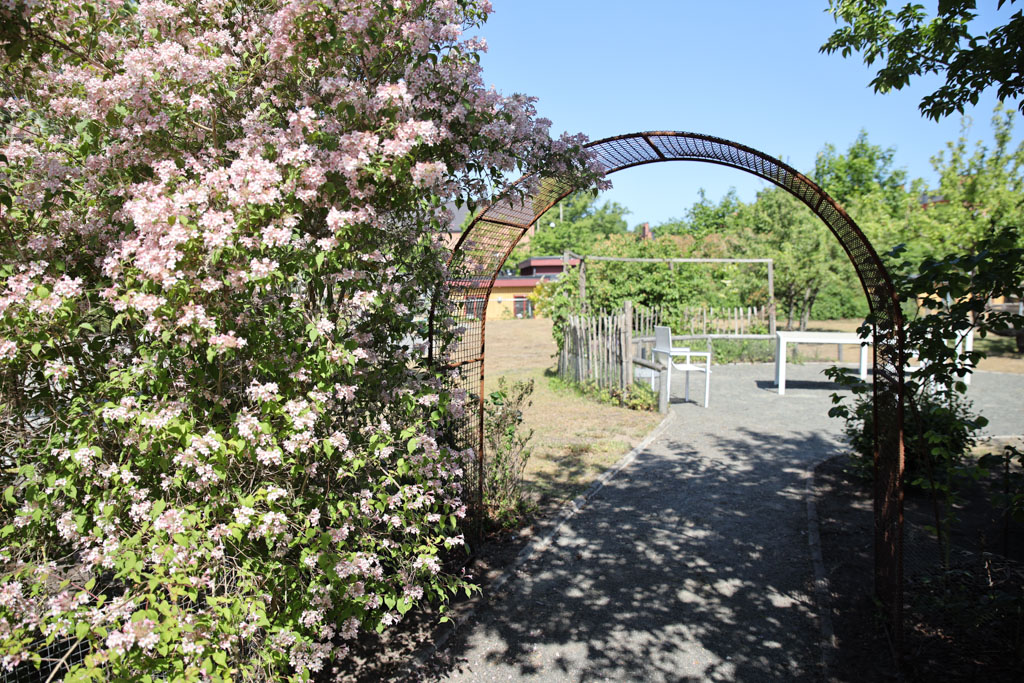 Den enorma blombusken sprider ljuvlig doft bort till sittplatsen.