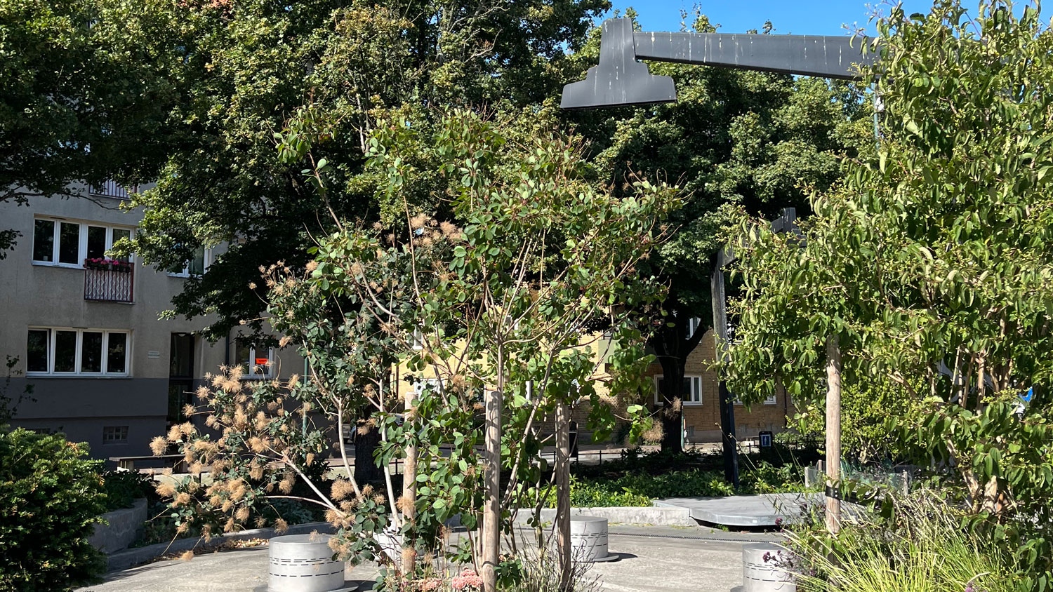 Träd och annan tillfällig grönska på Nobeltorget en solig sommardag.