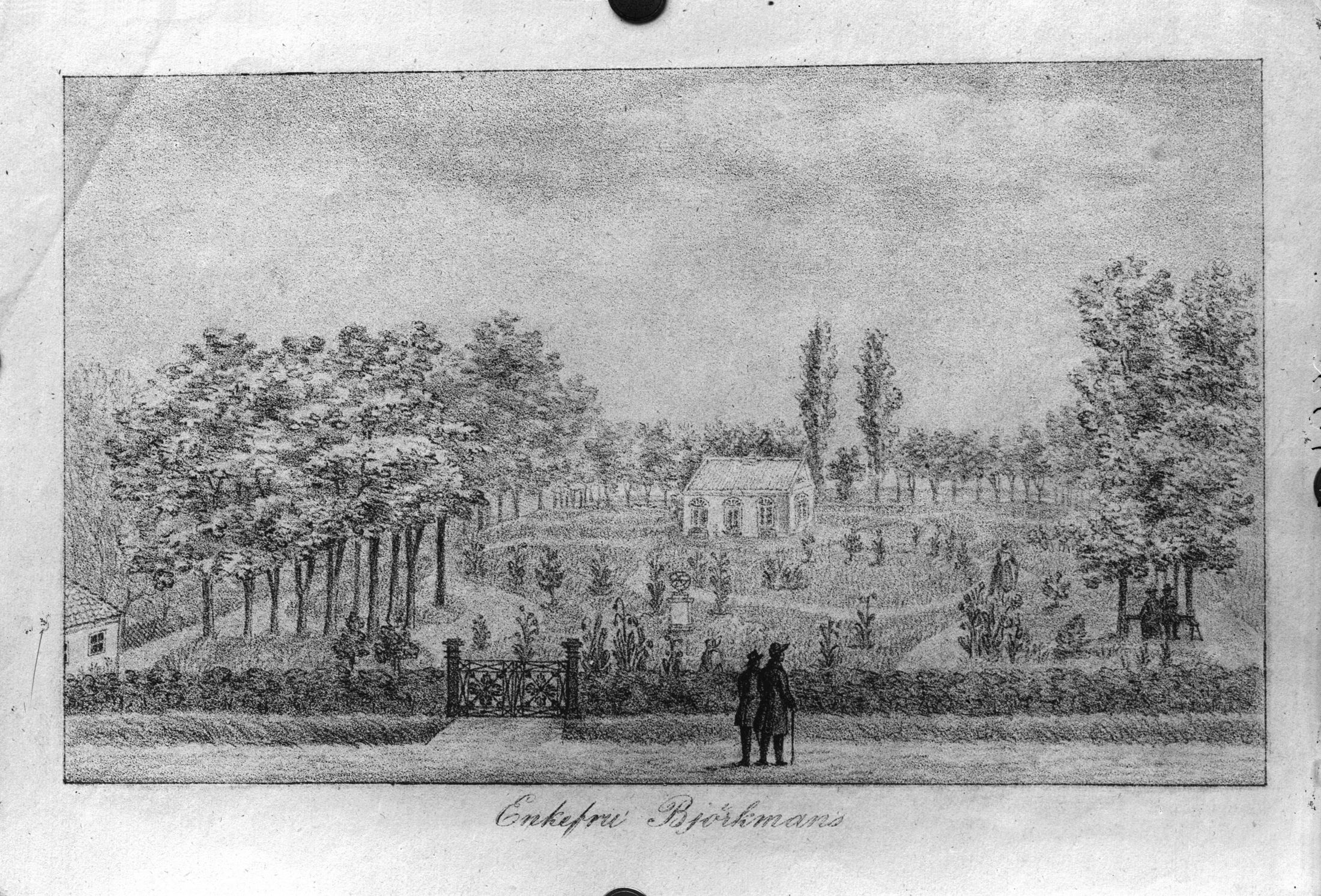 Svartvit teckning av Björkmanska villan och dess trädgård.