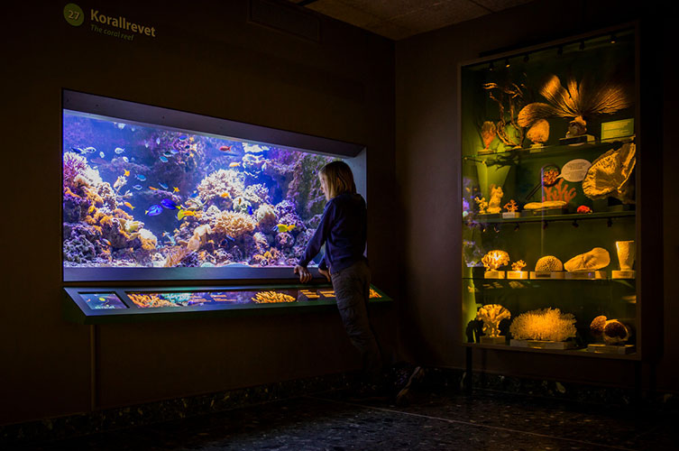 I utställningen finns flera stora akvarier, bland annat ett korallrev.