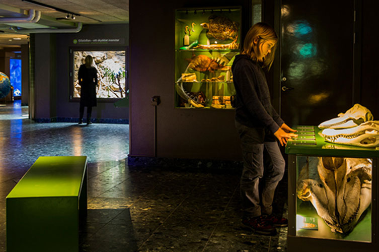 Det finns flera interaktiva element i utställningen där man kan lyssna eller känna på saker.