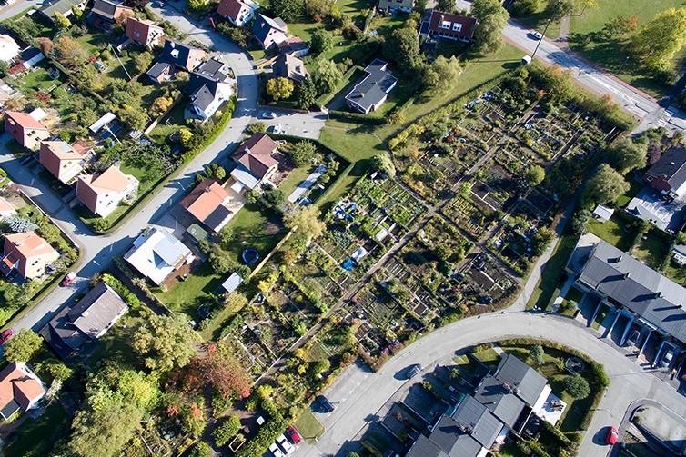 Flygbild som visar hela Biskpgatans odlingsområde från luften. 