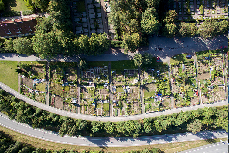 En flygbild på Fosie odlingsområde tagen från luften. Odlingsområdet ligger mellan en större motorväg och en kyrkogård. 