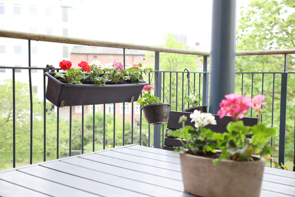 Att plantera blommor själva gör vår balkong extra
mysig.