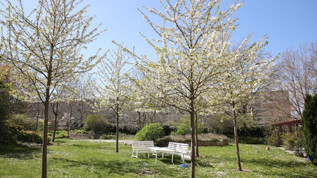 Parkens träd har slagit ut. Gräsmattan är full av blommor
och två bänkar finns placerade i mitten. Här kan man sitta och lyssna på
fåglarna.