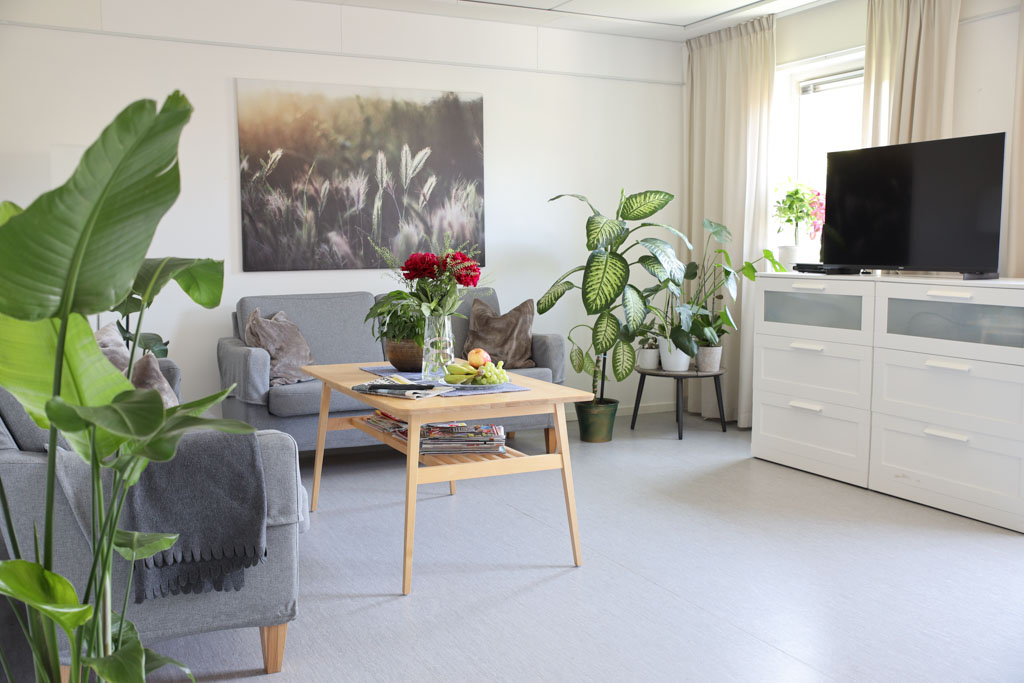 I gemenskapsrummet finns det två soffor där man kan sitta och titta på ett TV-program tillsammans. Rummet är ljust och får grönska av flera stora gröna växter på golvet, blommor på bordet och en tavla med ett sädesfält på väggen.